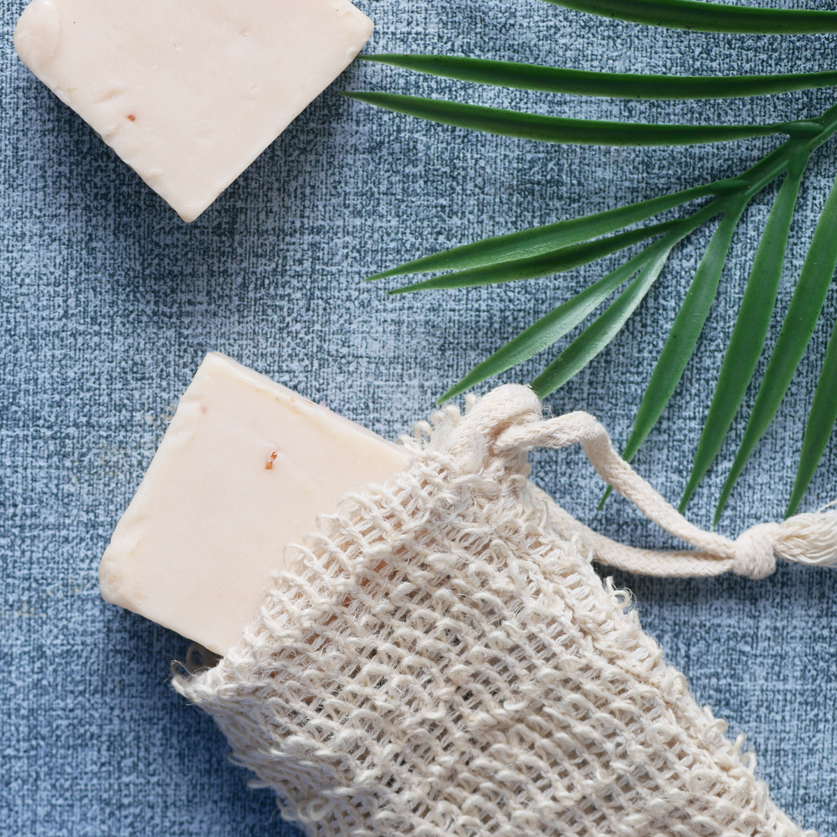 Soap with Olive Tree Wood Soap Holder | Lavender, Rose