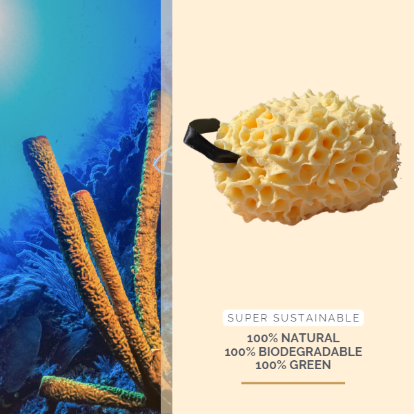Sisal Bath Sponge