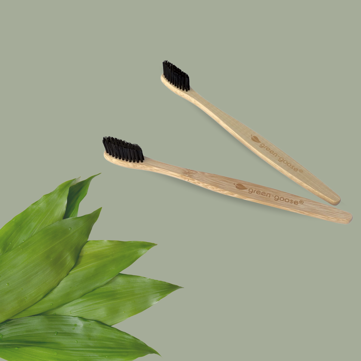 green-goose Bamboe Tandenborstels | 8 Stuks | Hard