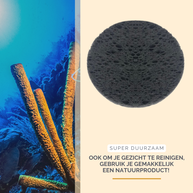 Bamboo Charcoal Cellulose Sponges | 20 pieces